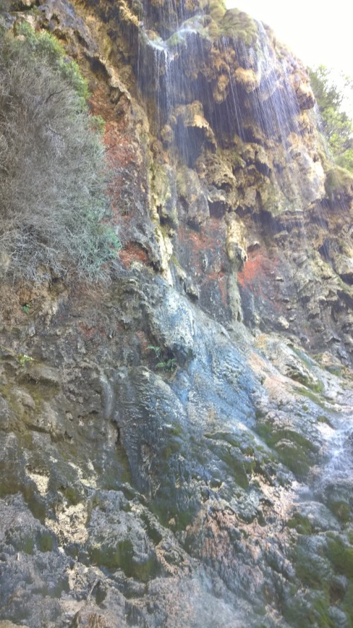 Whispering Falls hike (14)